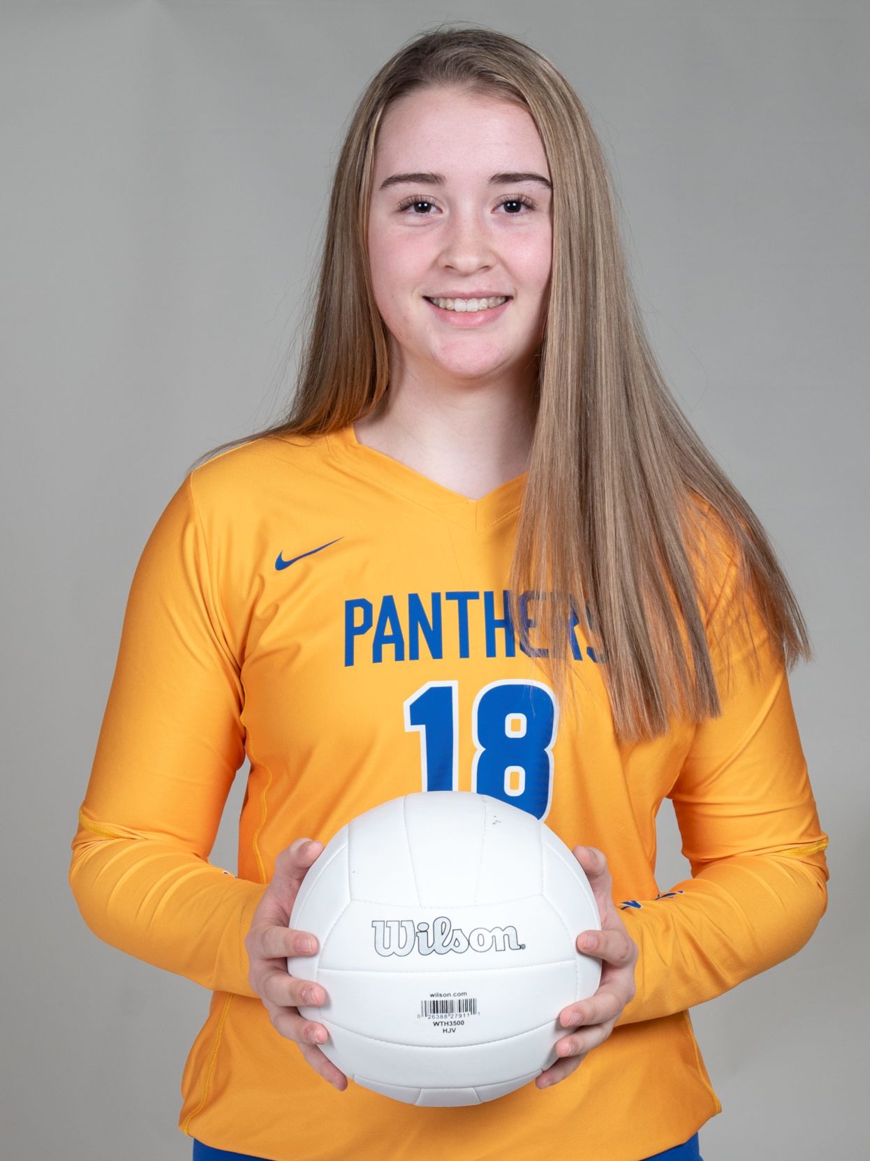 AAvolleyball